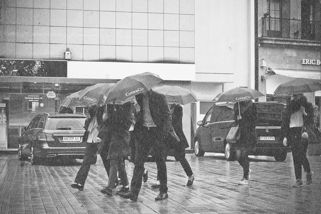 沈阳暴雨最新视频报道，城市暴雨应对挑战的观察与行动