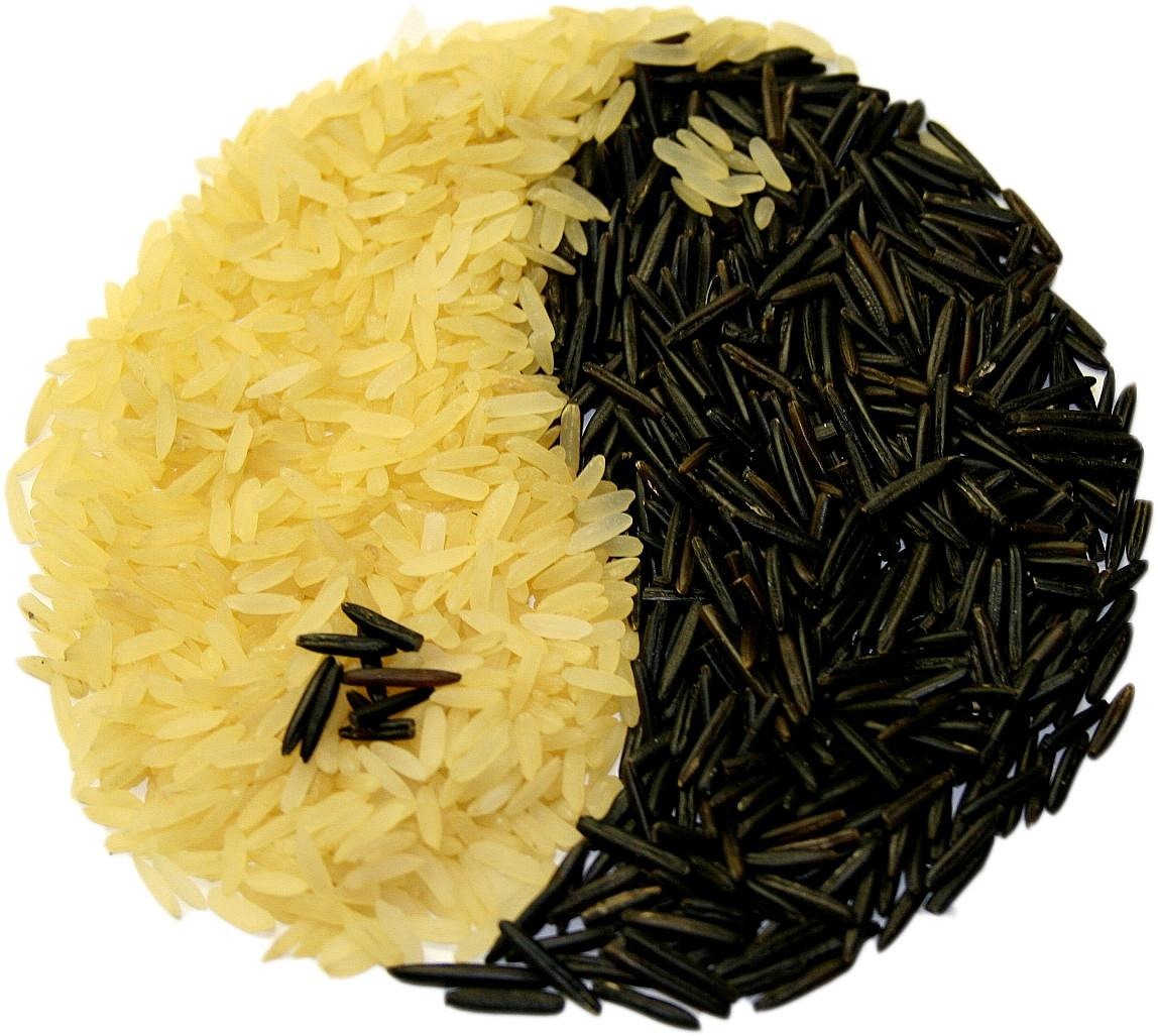 西关海迈向可持续繁荣的新征程最新动态