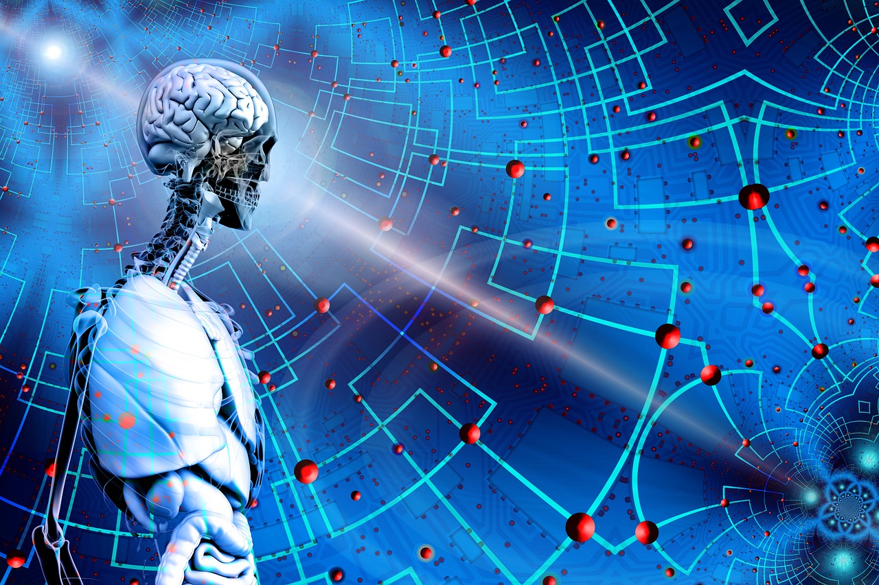 最新捕鱼网具技术革新及未来趋势探讨